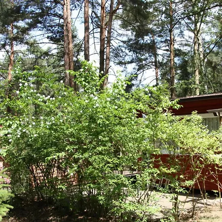 Holiday home Haus Am Kolberg Modern Retreat