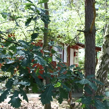 Haus Am Kolberg Modern Retreat * Blossin